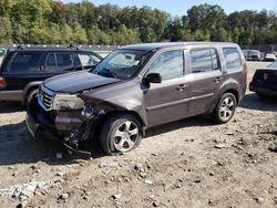 Honda salvage cars for sale: 2013 Honda Pilot EX