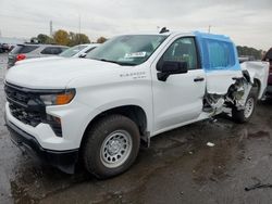 2023 Chevrolet Silverado K1500 for sale in Woodhaven, MI