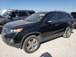 Salvage cars for sale from Copart Haslet, TX: 2012 KIA Sorento EX