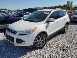 Salvage cars for sale at Wayland, MI auction: 2013 Ford Escape SE