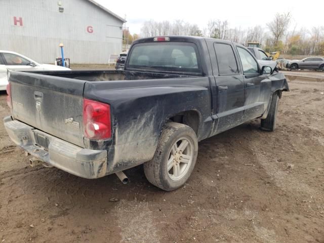 2008 Dodge Dakota SXT