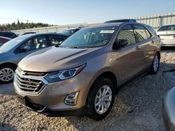Salvage cars for sale at Franklin, WI auction: 2019 Chevrolet Equinox LS