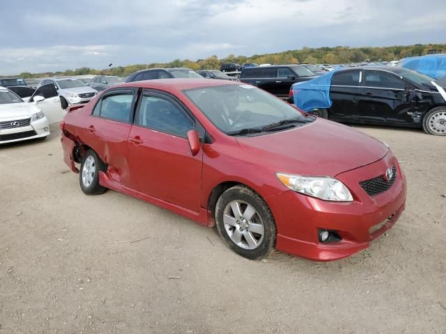 2010 Toyota Corolla Base