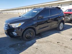 Salvage cars for sale at Earlington, KY auction: 2019 Ford Escape SEL