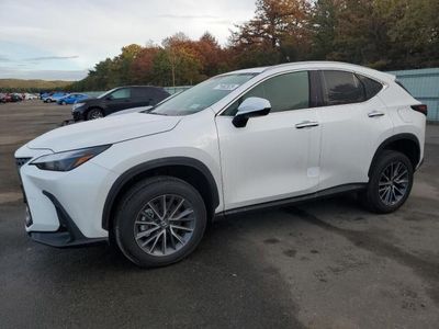 2024 Lexus NX 350 Base for sale in Brookhaven, NY
