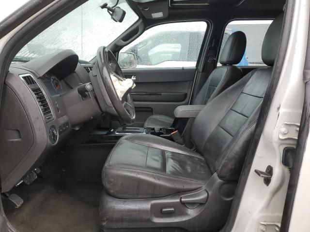 2011 Ford Escape Limited