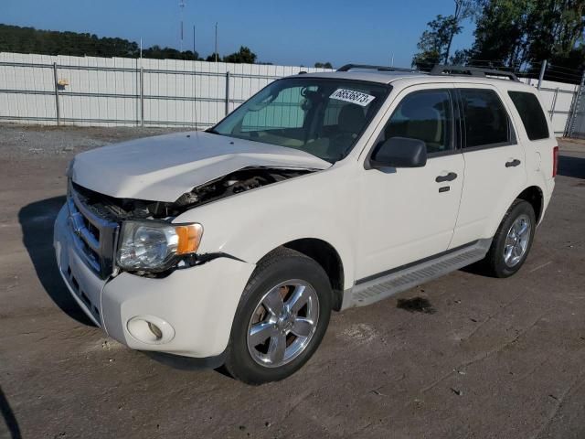 2011 Ford Escape XLT