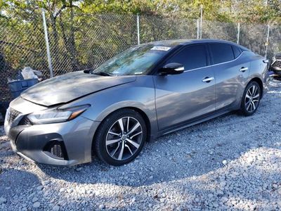 Salvage cars for sale from Copart Cicero, IN: 2019 Nissan Maxima S