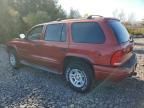 2001 Dodge Durango