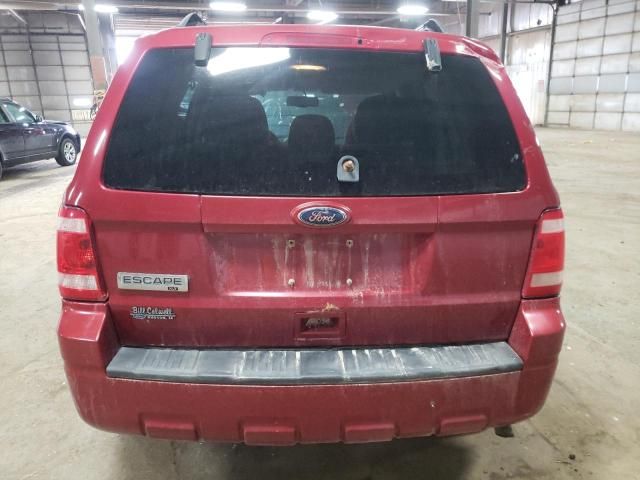 2010 Ford Escape XLT