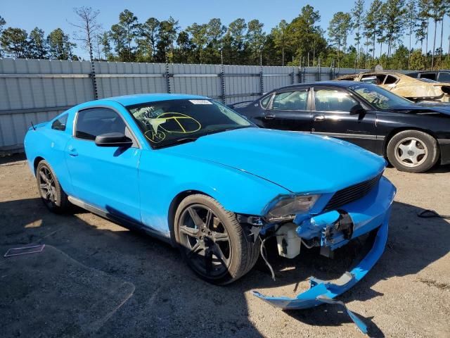 2010 Ford Mustang