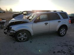 Salvage cars for sale at Indianapolis, IN auction: 2011 Ford Escape XLT