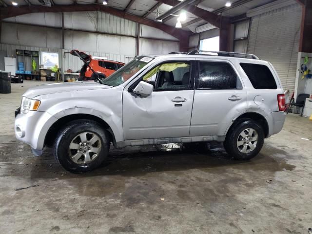 2009 Ford Escape Limited