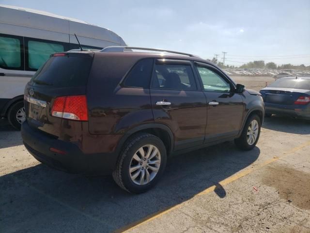 2011 KIA Sorento Base