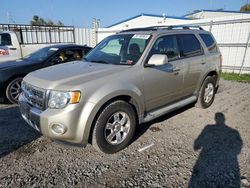 Ford salvage cars for sale: 2011 Ford Escape Limited