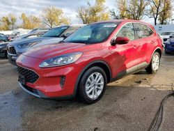 Ford Escape se salvage cars for sale: 2020 Ford Escape SE