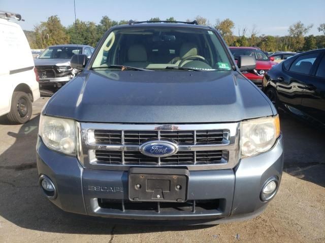 2012 Ford Escape XLT