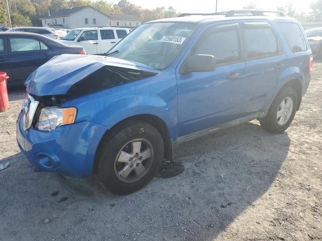 2011 Ford Escape XLS