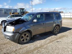 Salvage cars for sale from Copart Bismarck, ND: 2013 Honda Pilot EXL