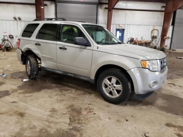 2009 Ford Escape XLT