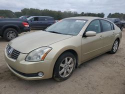 Salvage cars for sale at Conway, AR auction: 2004 Nissan Maxima SE