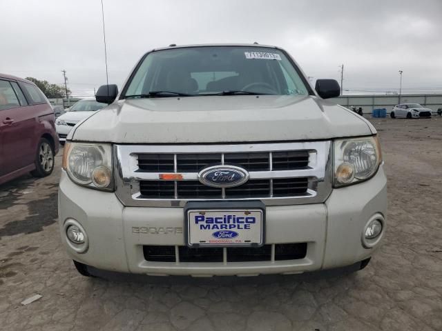 2008 Ford Escape XLT