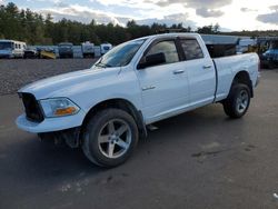 Dodge salvage cars for sale: 2010 Dodge RAM 1500