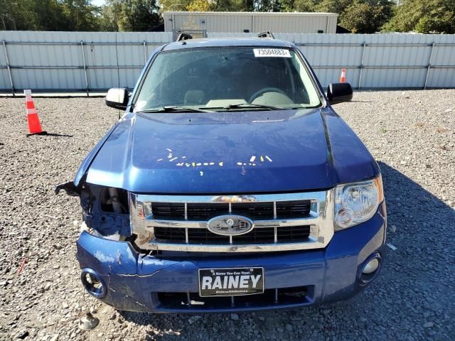 2008 Ford Escape XLT