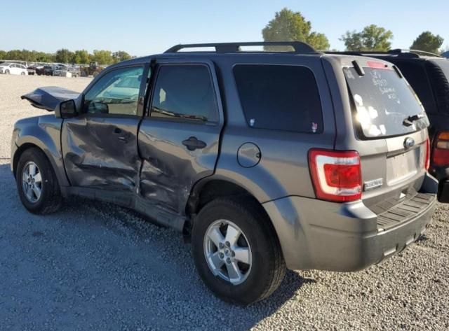 2011 Ford Escape XLT