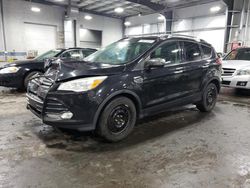 Ford Escape SE salvage cars for sale: 2015 Ford Escape SE