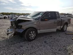 Salvage cars for sale at Memphis, TN auction: 2009 Ford F150 Supercrew