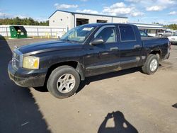 Salvage cars for sale from Copart Candia, NH: 2007 Dodge Dakota Quad SLT