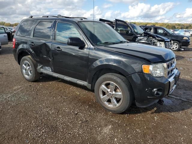 2011 Ford Escape Limited