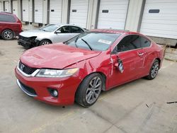 Salvage cars for sale at Louisville, KY auction: 2014 Honda Accord EXL