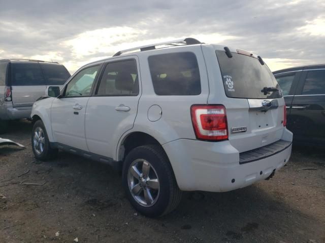 2010 Ford Escape Limited