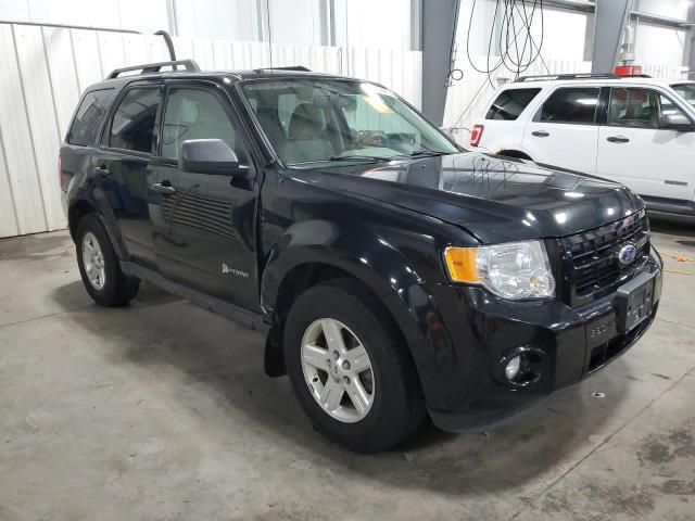 2012 Ford Escape Hybrid