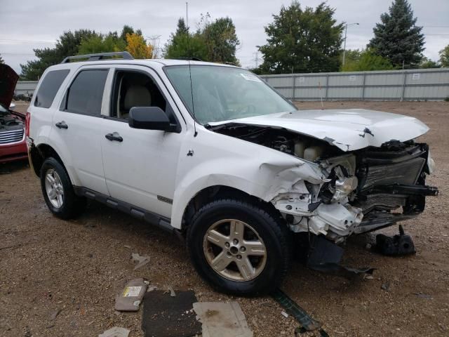 2008 Ford Escape HEV