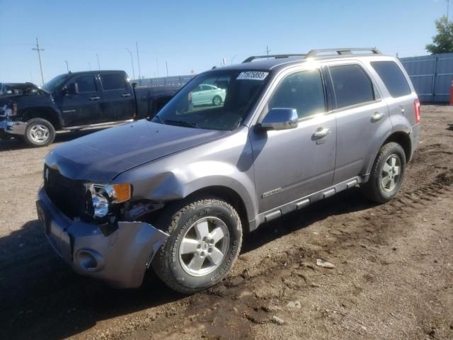 2008 Ford Escape XLT