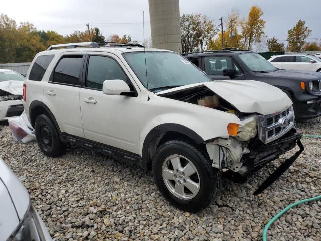 2011 Ford Escape Limited