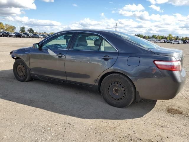 2008 Toyota Camry Hybrid