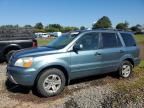 2005 Honda Pilot EXL