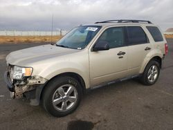 Ford salvage cars for sale: 2012 Ford Escape XLT