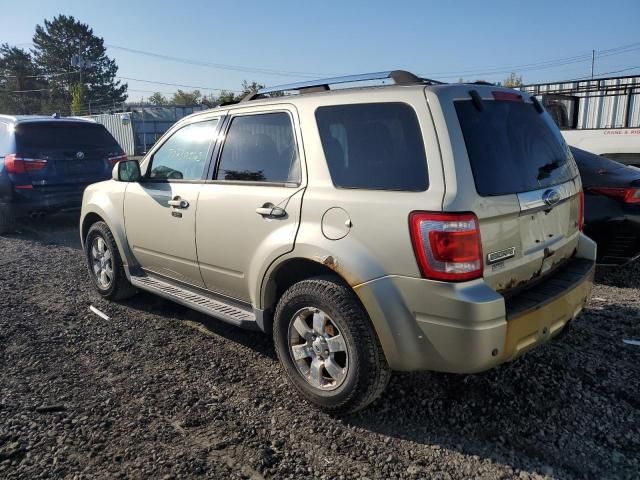 2011 Ford Escape Limited