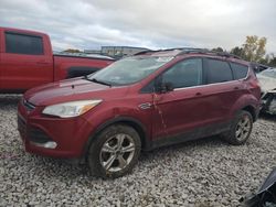 Salvage cars for sale at Wayland, MI auction: 2013 Ford Escape SE