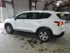 2023 Hyundai Santa FE SEL Premium