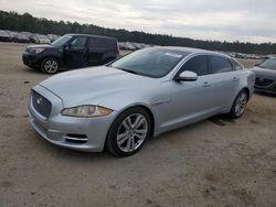 Salvage cars for sale from Copart Harleyville, SC: 2011 Jaguar XJL