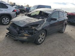 Burn Engine Cars for sale at auction: 2014 Ford Escape SE