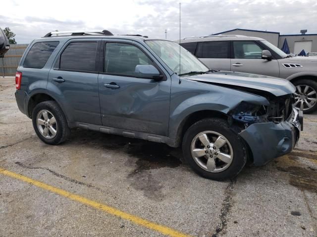 2011 Ford Escape Limited