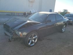 Dodge Charger salvage cars for sale: 2013 Dodge Charger SXT