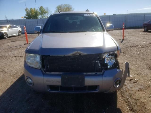 2008 Ford Escape XLT